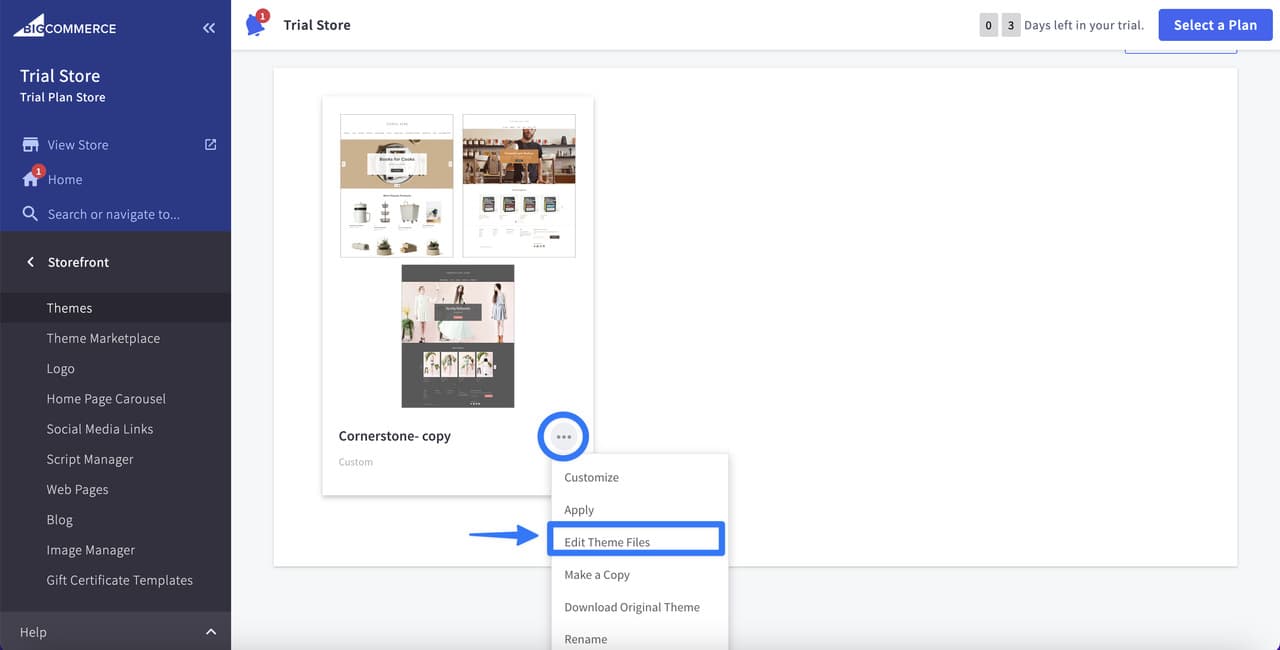 editing theme files for the copy of the related theme on BigCommerce