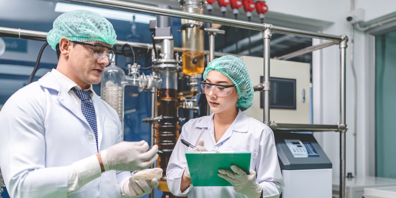 Two medical researchers working in a clinical lab testing AI-assisted diagnostic tools