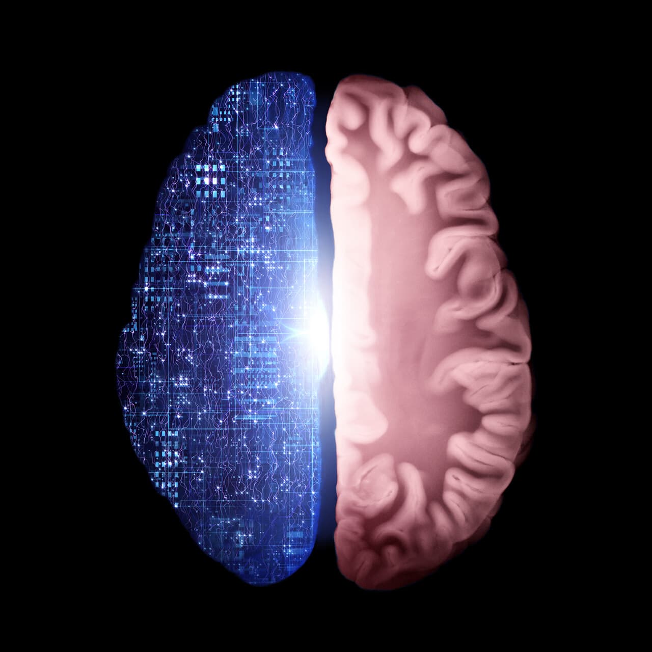 a brain with different colored on two sides showing the connection between the human power and ai