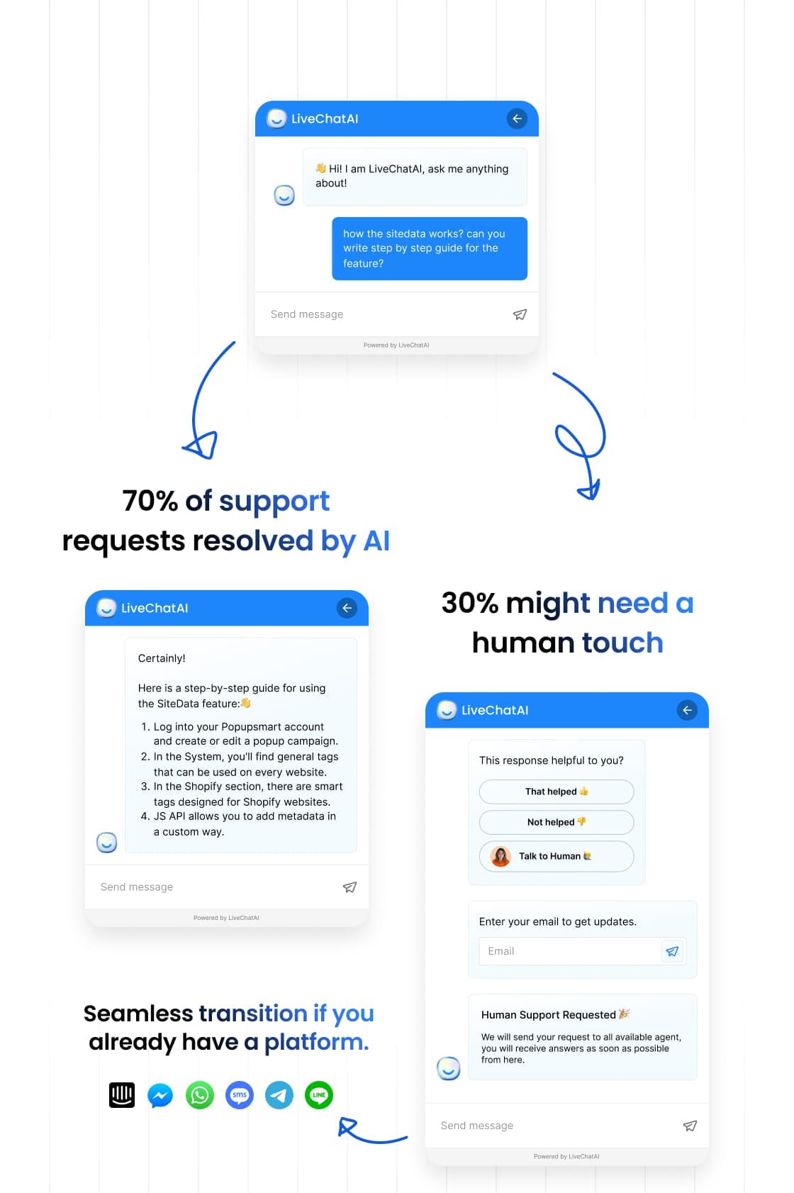 Live Chat product view