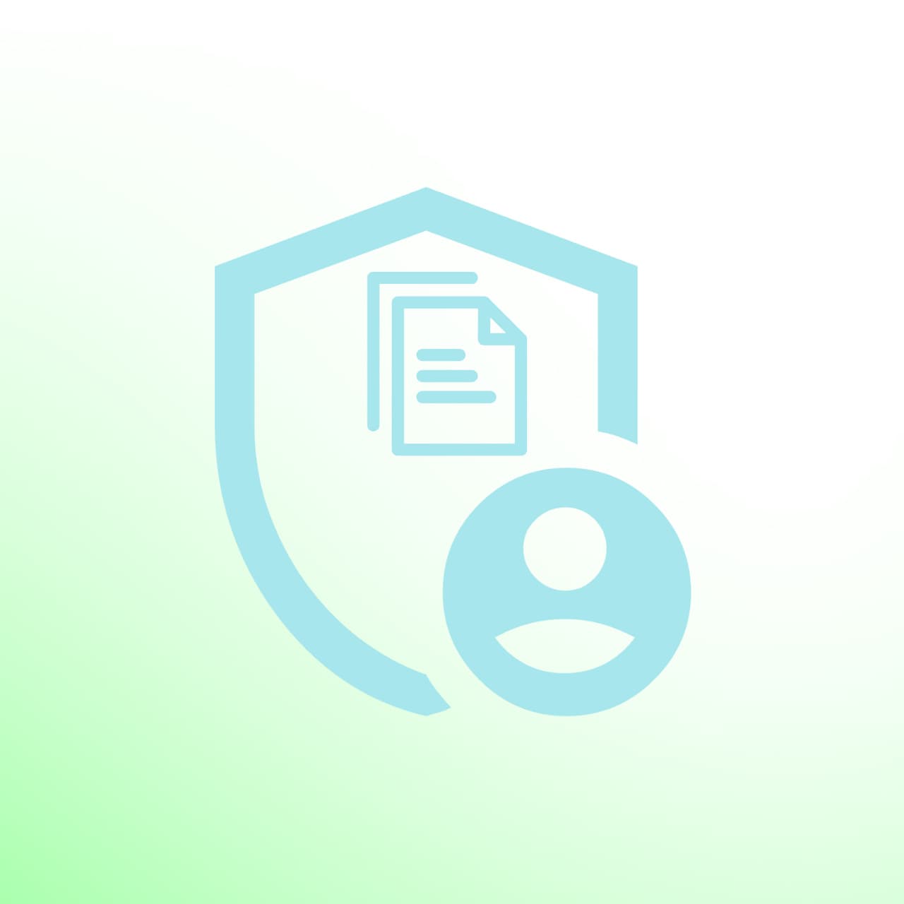 Privacy Policy Summarizer AI