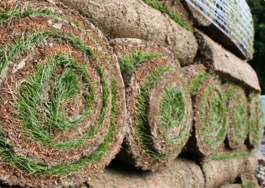Rows of rolled turf ready for installation