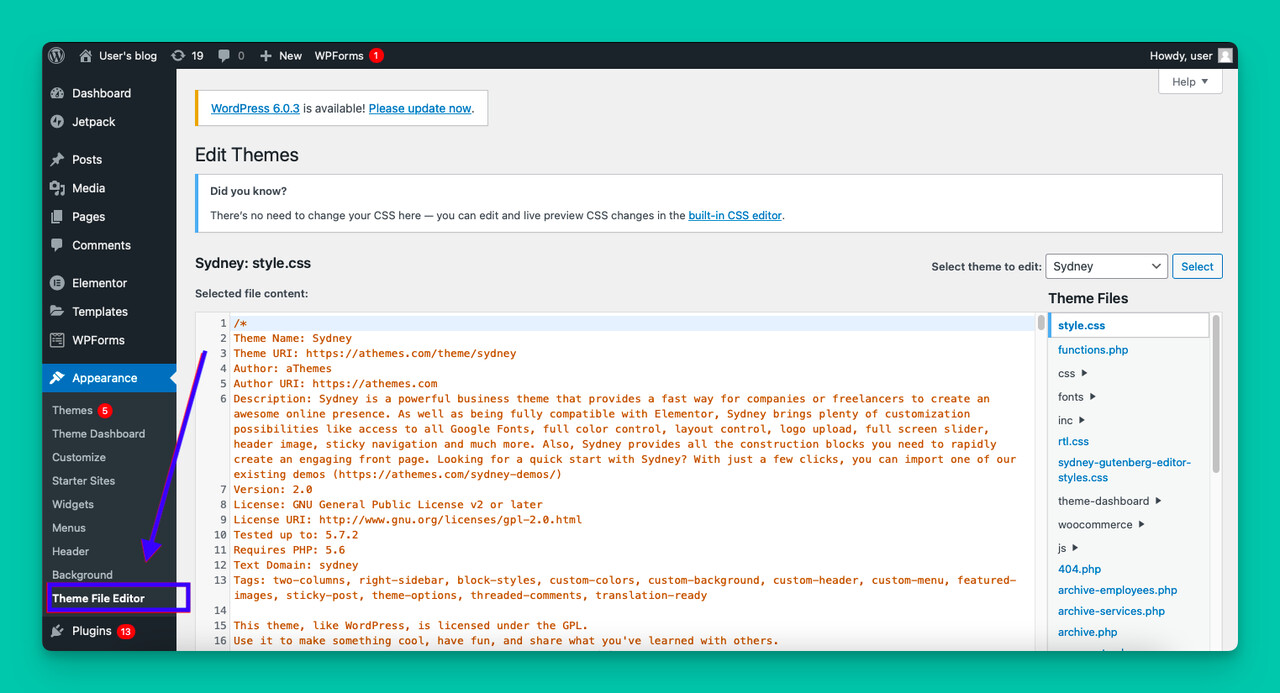 the Theme File Editor on the left sidebar of WordPress