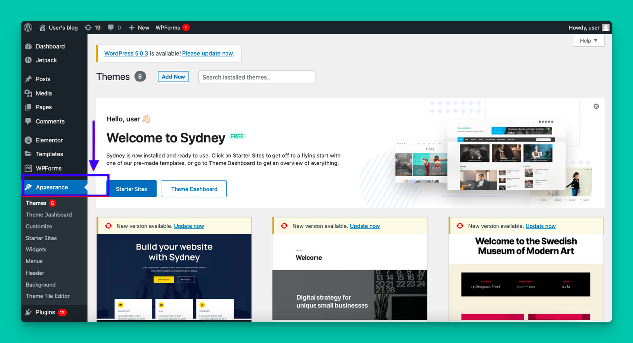 the Appearance tab on the WordPress dashboard