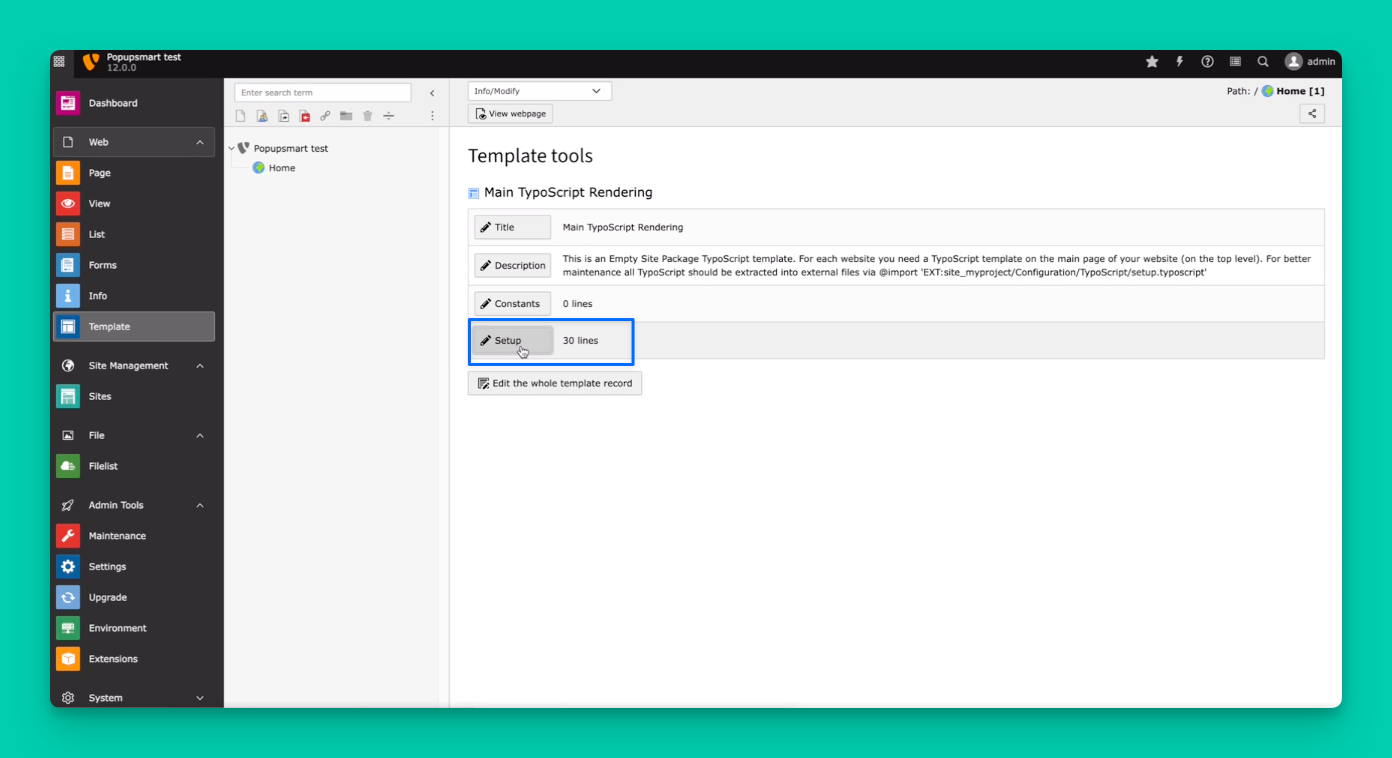 the Setup area for embedding the code on TYPO3